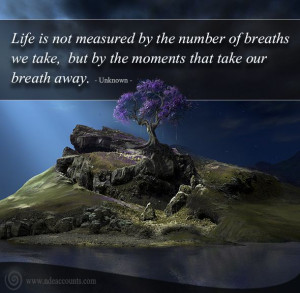 Funny Quotes Contact Us DMCA Notice