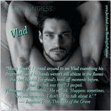 Night Huntress novels