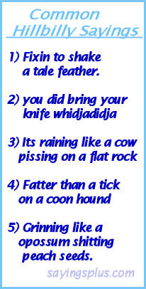 Funny Slang Quotes http://kootation.com/funny-hillbilly-sayings.html