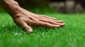 How to Start a Lawn Care or Landscaping Business