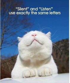 Same. Silent and listen use exactly the same letters. #quote