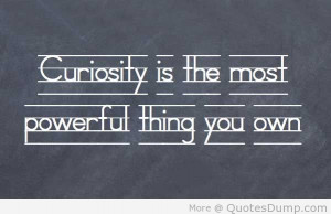 more quotes pictures under curiosity quotes html code for picture
