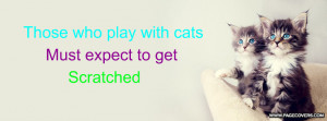 Cats Quote Facebook Covers