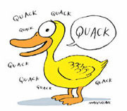 quack can describe something as wack ducks quack
