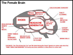 picture of the female brain with it s mysterious characteristics