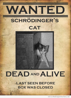 schrodinger-cat-wanted-poster-dead-alive-box.jpg