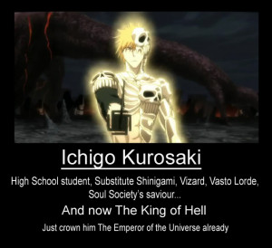Ichigo Kurosaki Quotes Pictures