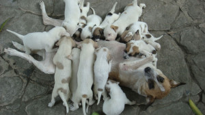 Tribute to Moms & The Things They Say: 53 Loving Mother and Baby ...