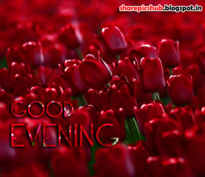 ... red roses good evening wishes greeting card images good evening wishes