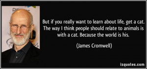 you really want to learn about life, get a cat. The way I think people ...