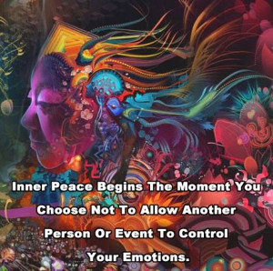 Inner peace begins the moment you choose not to allow another person ...