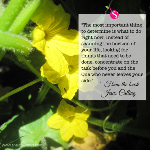 cucumber flower quote