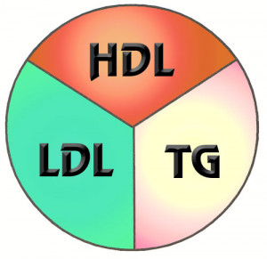Total Cholesterol HDL Ratio Chart