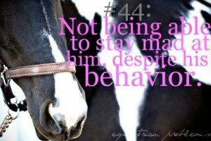 know right?!?!?! - Repinned by Elrose Equine Saddlery - www ...