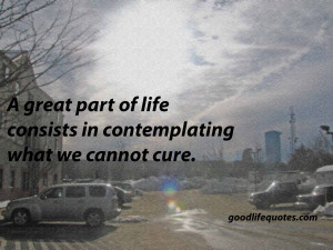 great part of life consists in contemplating what we cannot cure.
