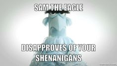 Sam the eagle, the muppet. #funny More