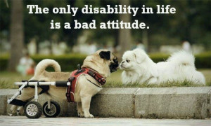 ... Attitude, So True, Positive Thoughts, Dogs Lovers, Inspiration Quotes