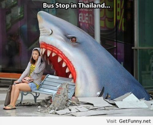 Bus stop in Thailand - Funny Pictures, Funny Quotes, Funny Memes, F...