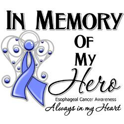 in_memory_esophageal_cancer_ornament.jpg?color=White&height=250&width ...