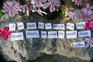 life quotes with flowers