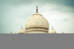 taj-mahal-upper-half-detail.jpg