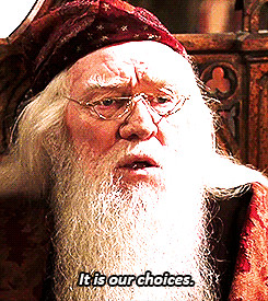 harry potter quote albus dumbledore chamber of secrets success chamber ...