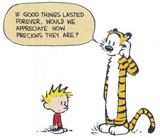 My favorite Calvin & Hobbes quote (sorry for small size)