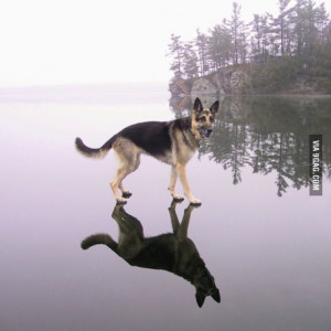 ... gust saying fun funniest funny funny teenager quotes girly quotes