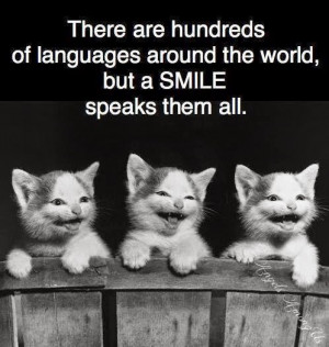 Cats smiling a spreading a message on Smile