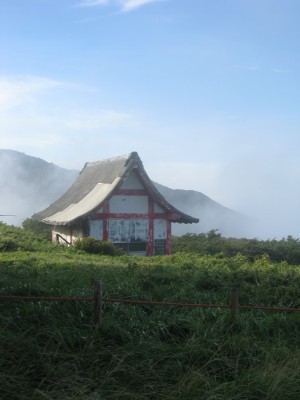 Nonconformity Quotes My art of non conformity: