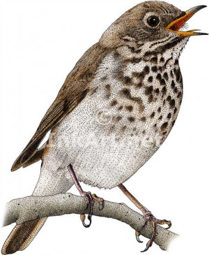 Funny Quotes Contact Dmca