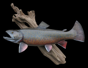 brook trout fish mounts request a quote