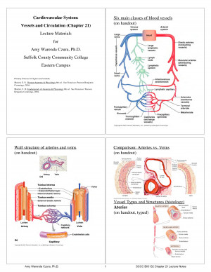 Anatomy and Physiology Cardiovascular System