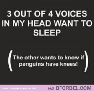 Funny Quotes Insomnia