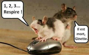 Publié le 04/04/2013 à 12:56 par zezete2 Tags : humour insolite ...