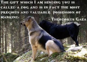 The Best Quotes About Dogs Focus On The Dog's Themselves - And ...