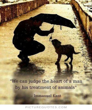 quotes about animals love it is amazing how much love pet quotes love ...