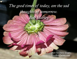 Sad Quotes - The good times of today, are the sad thoughts of tomorrow ...