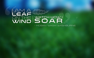 Pinned by Hannah Winchester