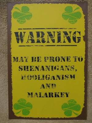 ... Warning Tin Metal Sign Decor Shenanigans Funny Humorous Malrkey | eBay