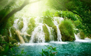 Download high quality 1440 x 900 Paradise waterfall Wallpaper.