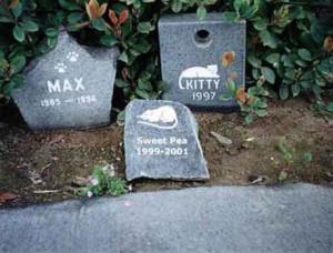 pet cemetery