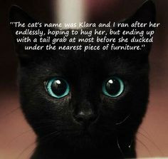 Cute Kitten Pictures With Sayings #quote #pet #black #cat