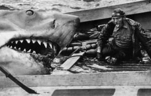 Click Here if you want to see some more cool Jaws photos.