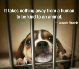 Be kind to ALL animals.