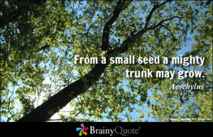 From a small seed a mighty trunk may grow. - Aeschylus