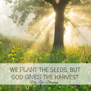 We plan the seeds, but God gives the harvest .