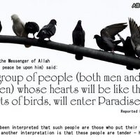 photo Asceticism-purifying-heart-0028.jpg