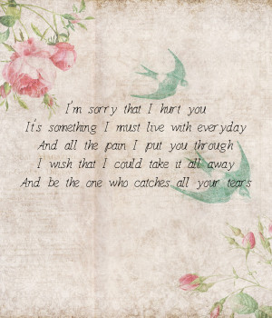 ... pain-i-put-you-through-i-wish-that-i-could-take-it-all-away-and-be-the