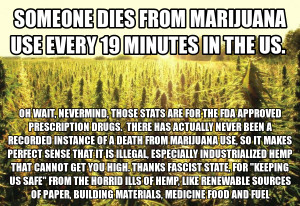 Marijuana Use Linked To One Death Every 19 Minutes in the US